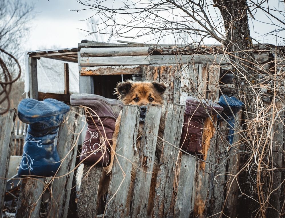 Photograph by Курдюмов Антон