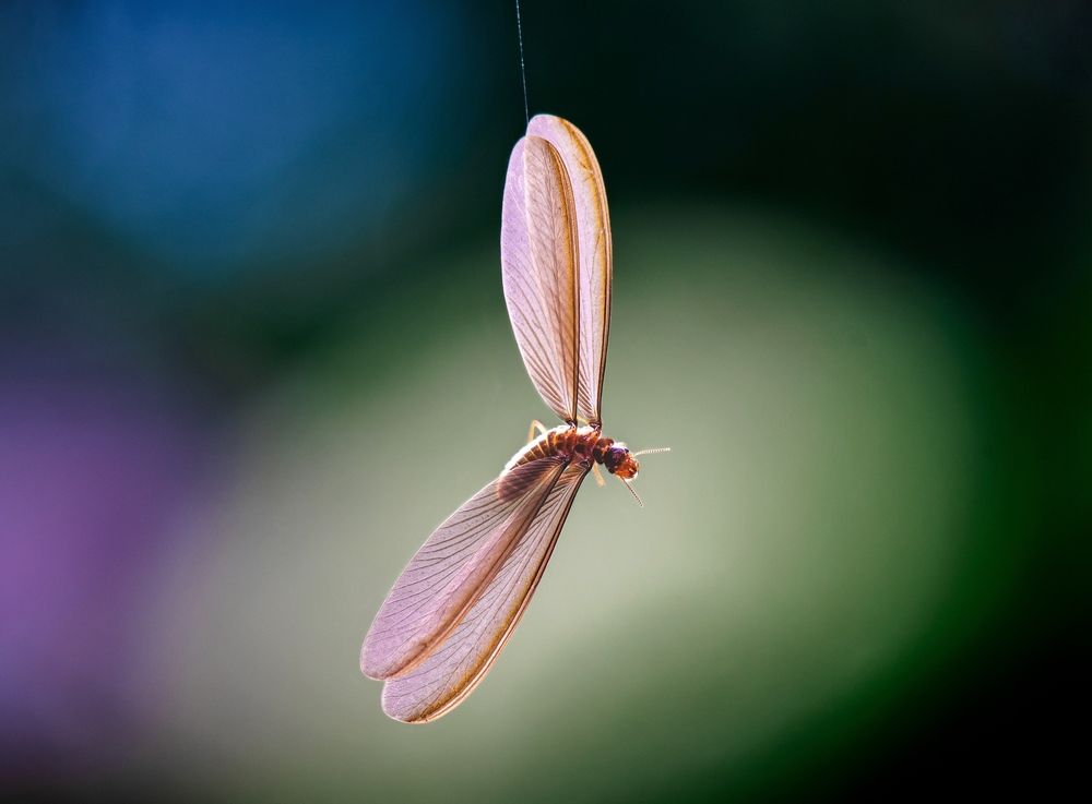 Photograph by shabu joseph