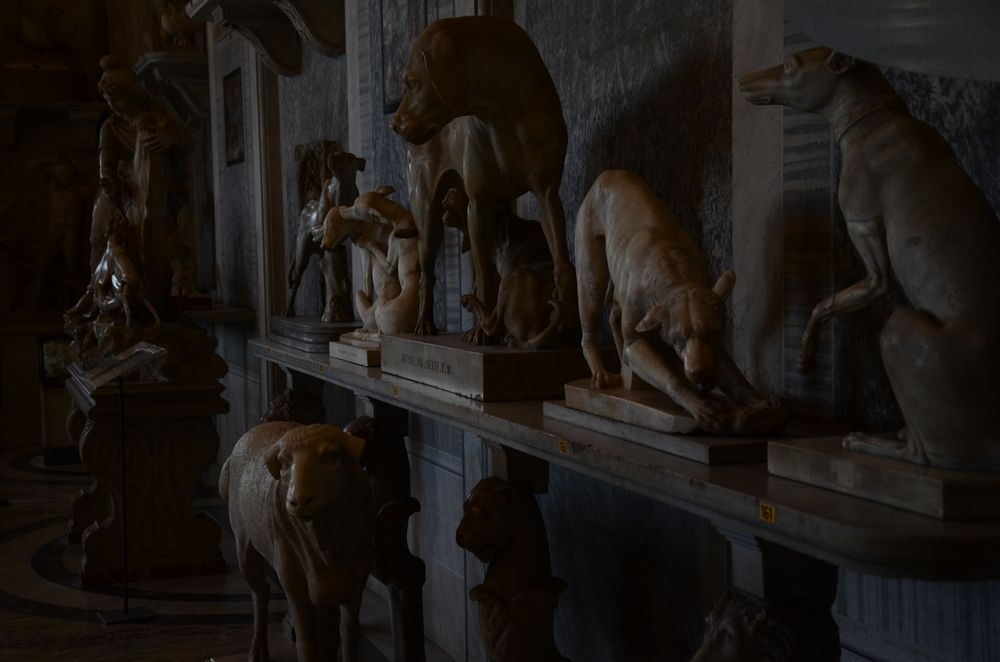 Photograph by Татьяна Чурикова