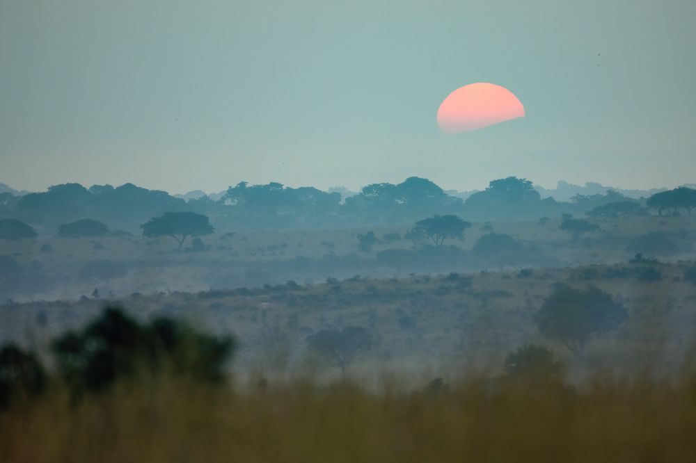 Photograph by Gatis Vilbrants