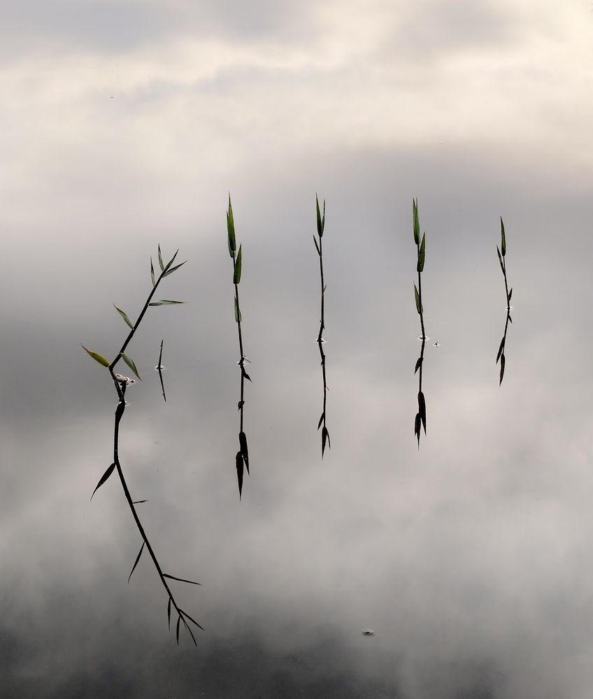 Photograph by Искандар Газизов