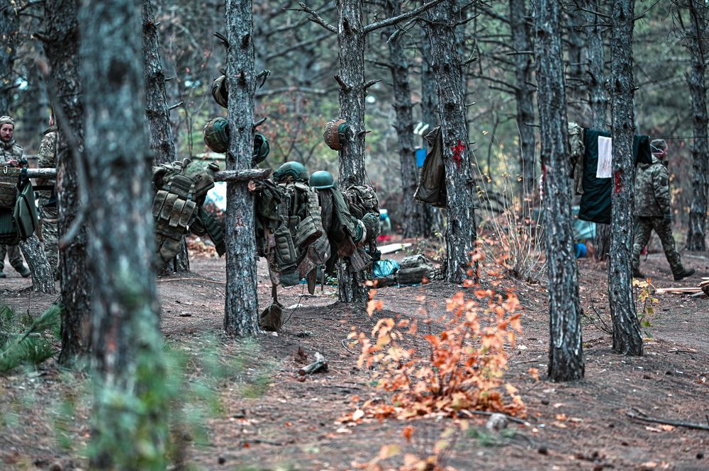 Photograph by Сергей ПЛАТОНОВ