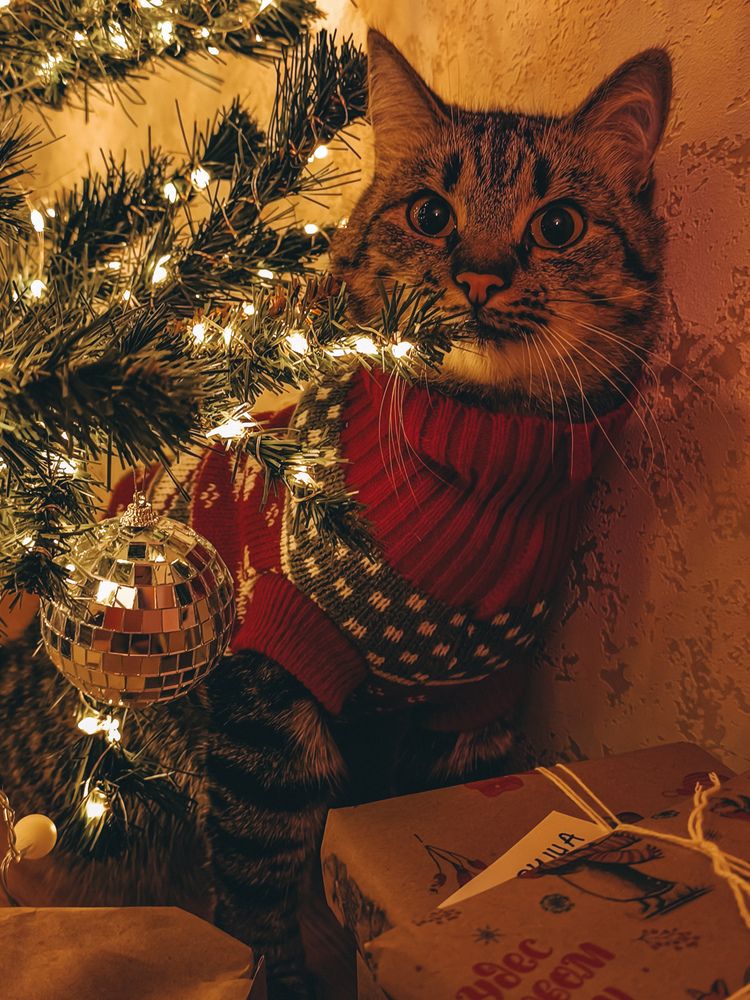 Photograph by Катрина Покумейко