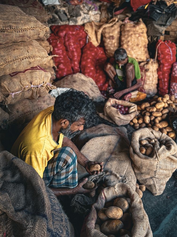 Potato Vendors