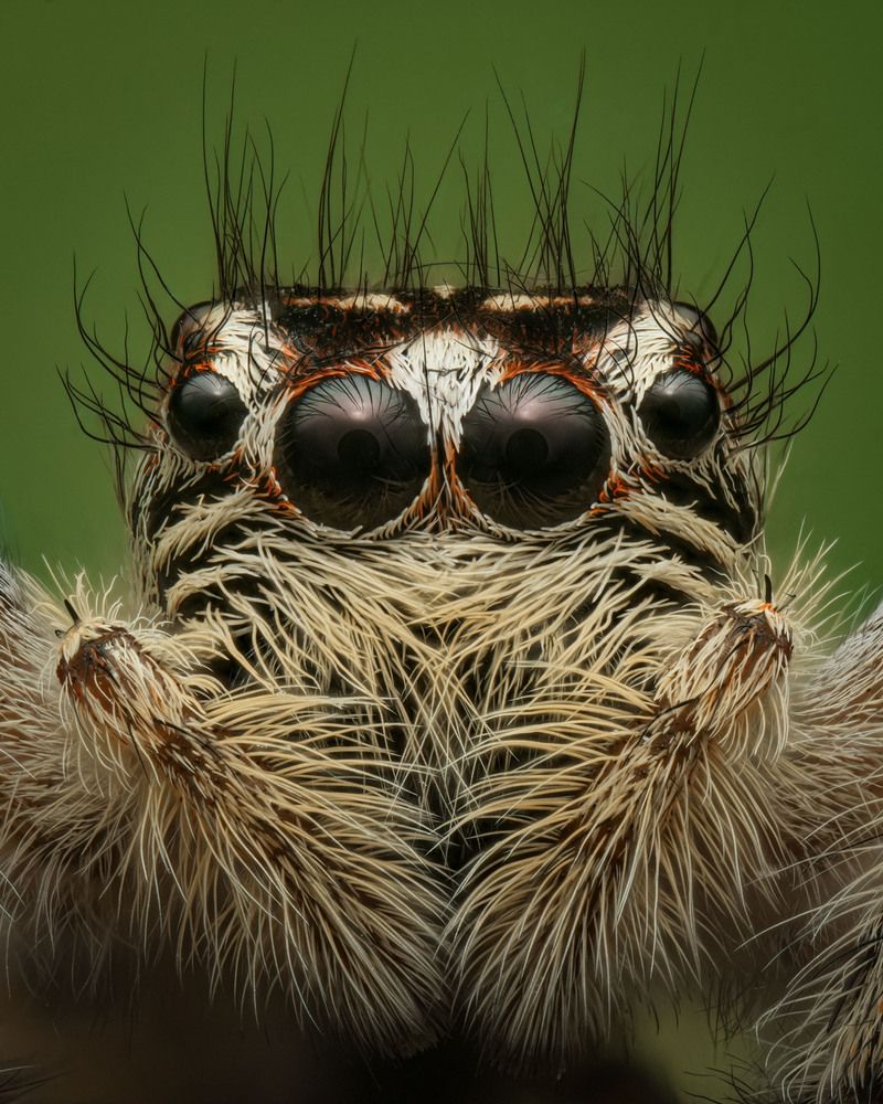 Photograph by Юрий Юрьевич Подгрушный