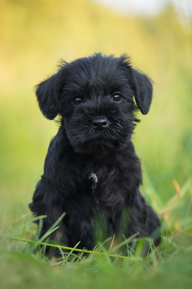 Photograph by Виктория Мамаева