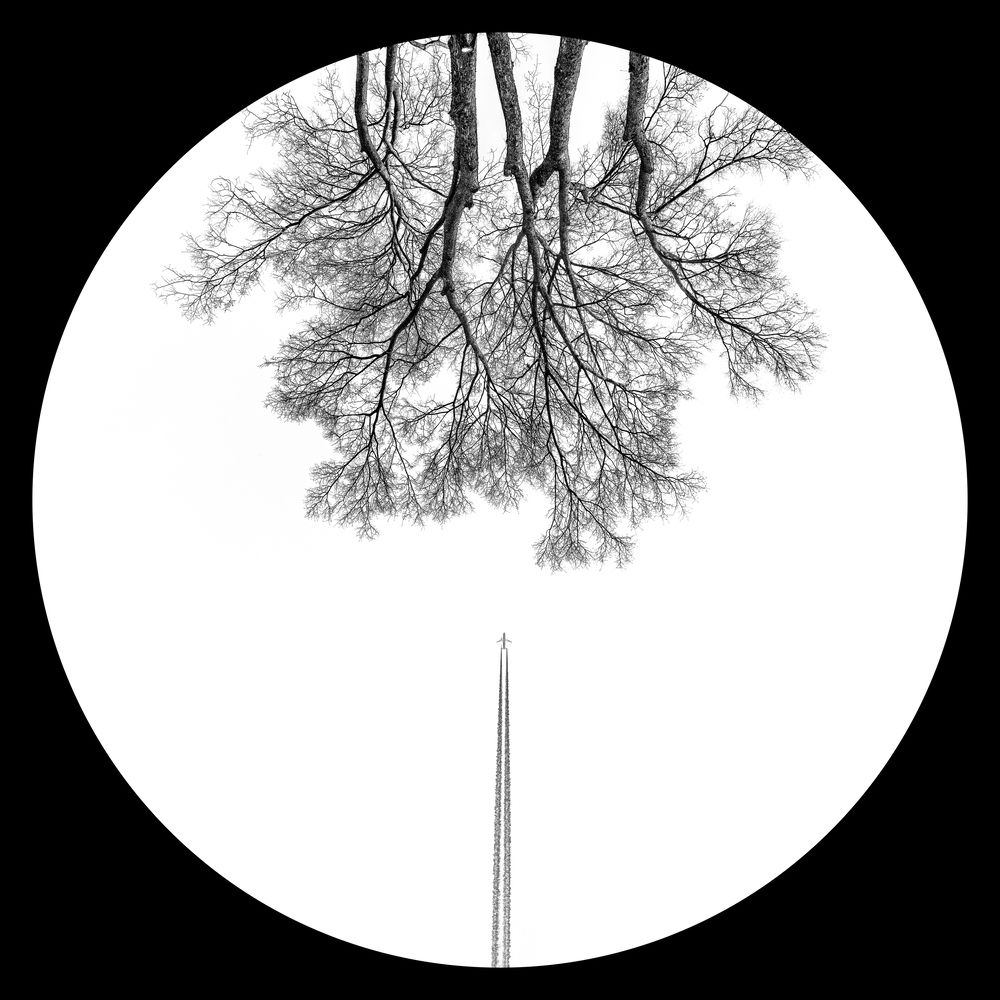 Photograph by Яна Каменская