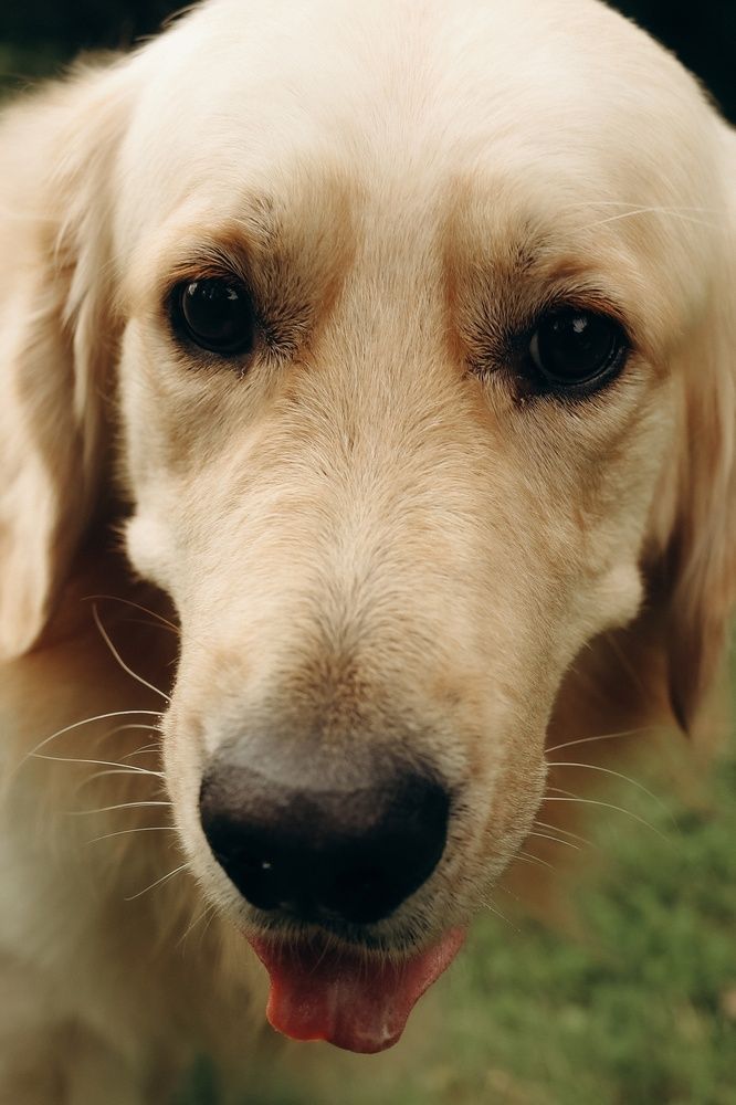 Photograph by Елена Луткова