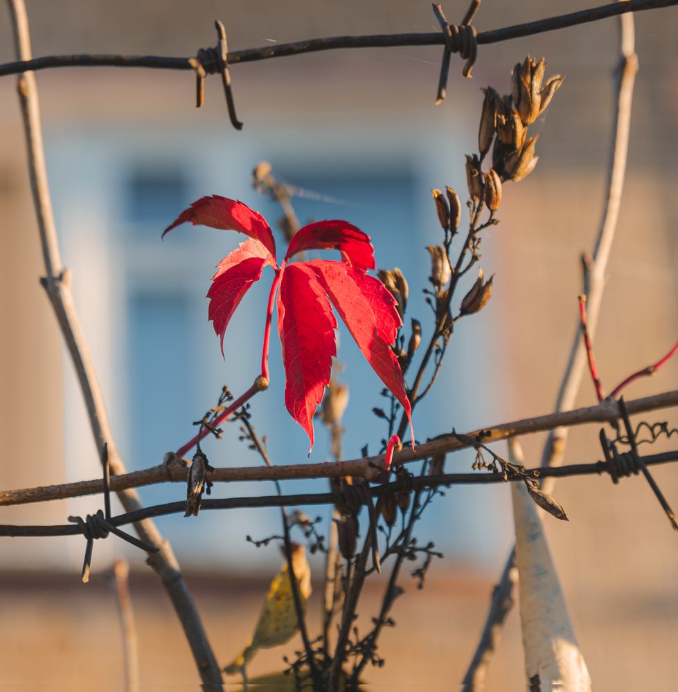Photograph by Вячеслав Куртенков