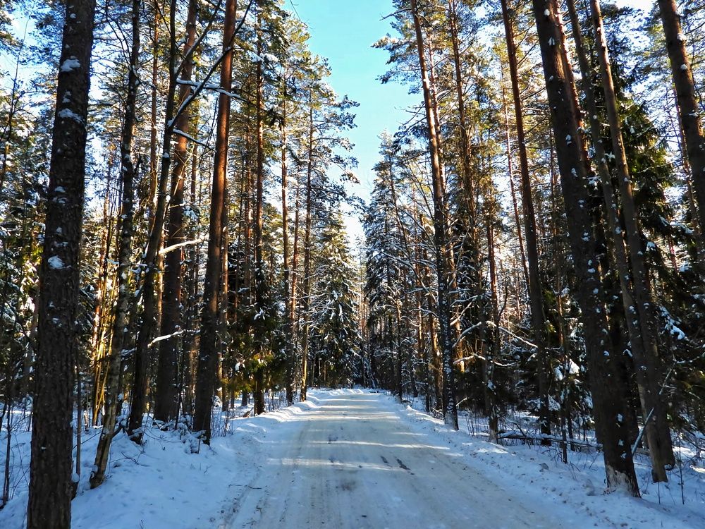Photograph by Александр Шаварин