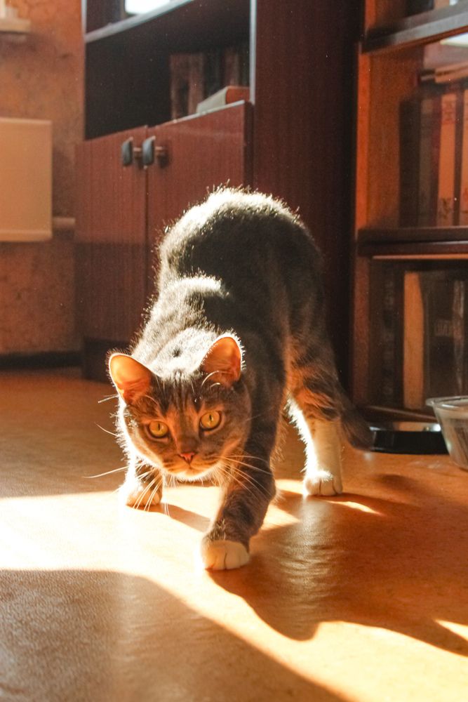 Погоди-погоди, как уже покормили?