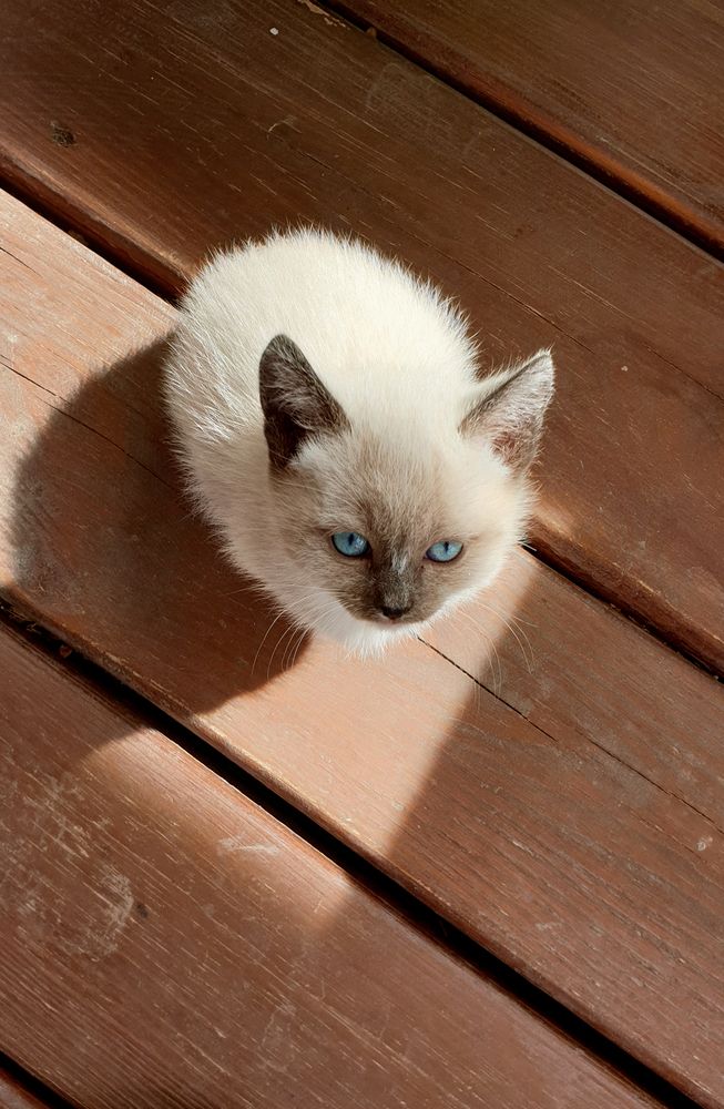 Фотография автора Татьяна Зарипова