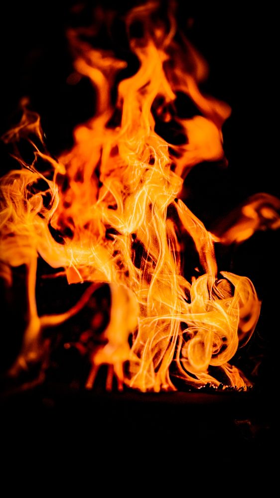 Photograph by Ekaterina Slepneva