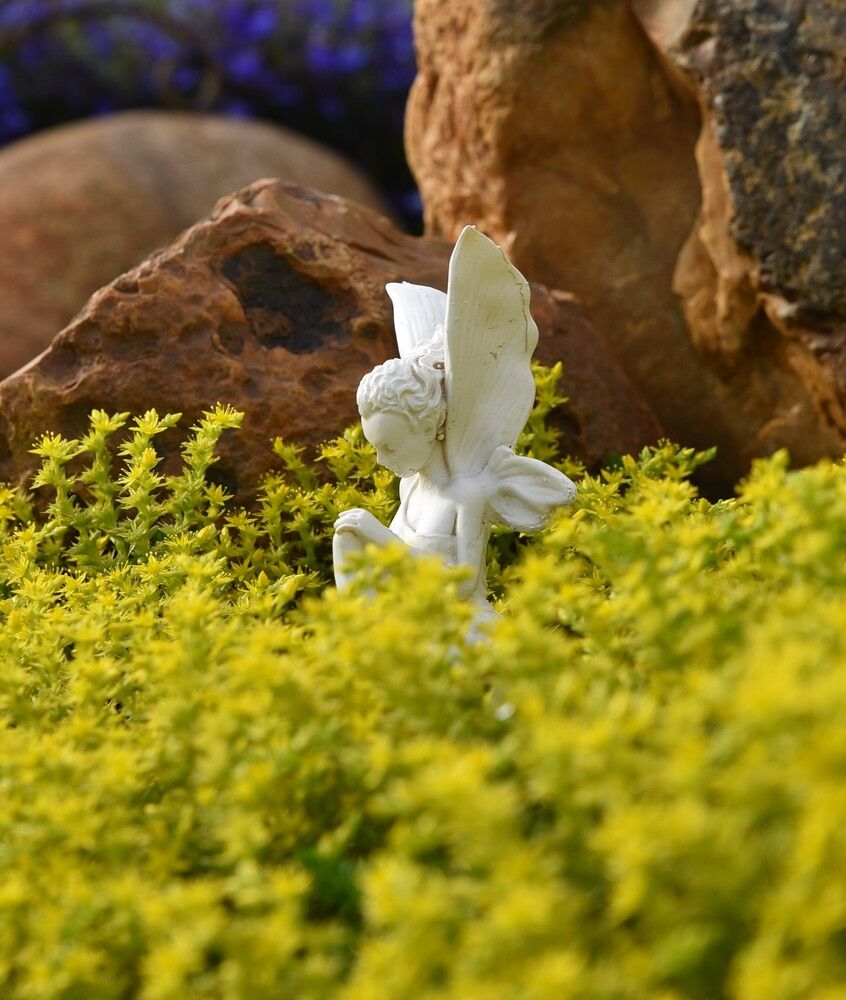 Photograph by Вячеслав Куртенков