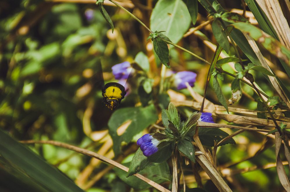 Photograph by Юлия Подлеснова