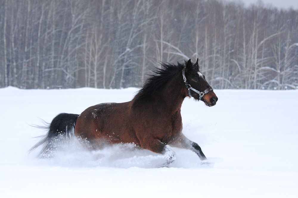Photograph by Крашановская Юлия Валериевна