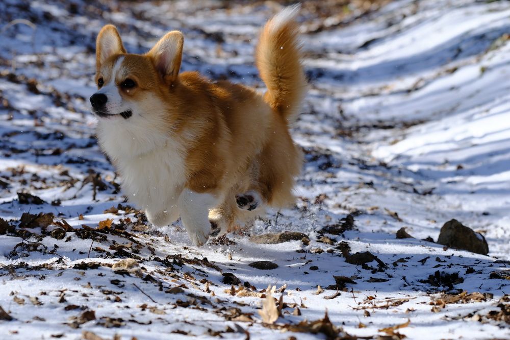 Photograph by Станислав Дроздов