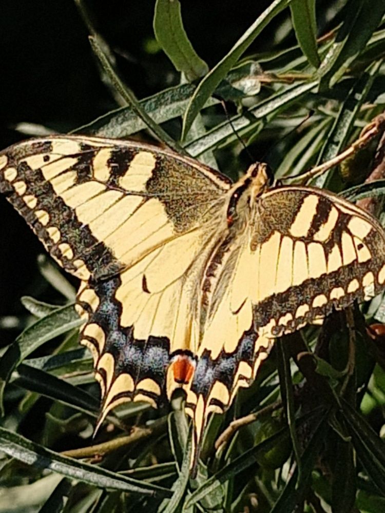 Photograph by Елена Шебанова
