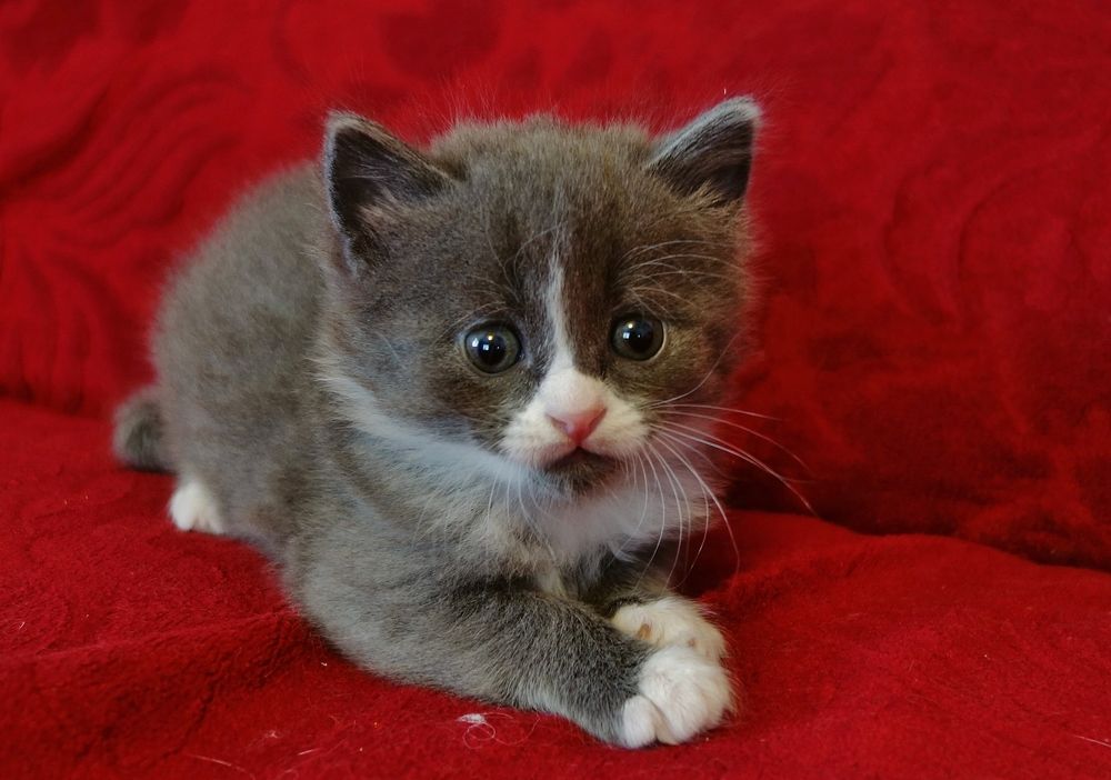 Photograph by Виктор Решетников