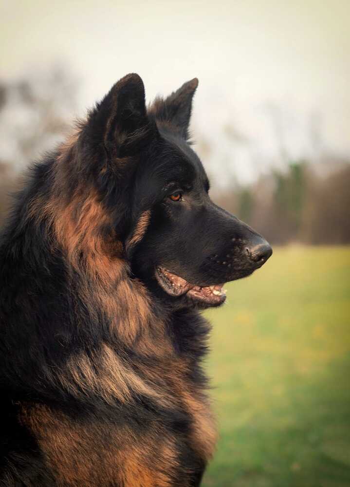 Photograph by Руслан
