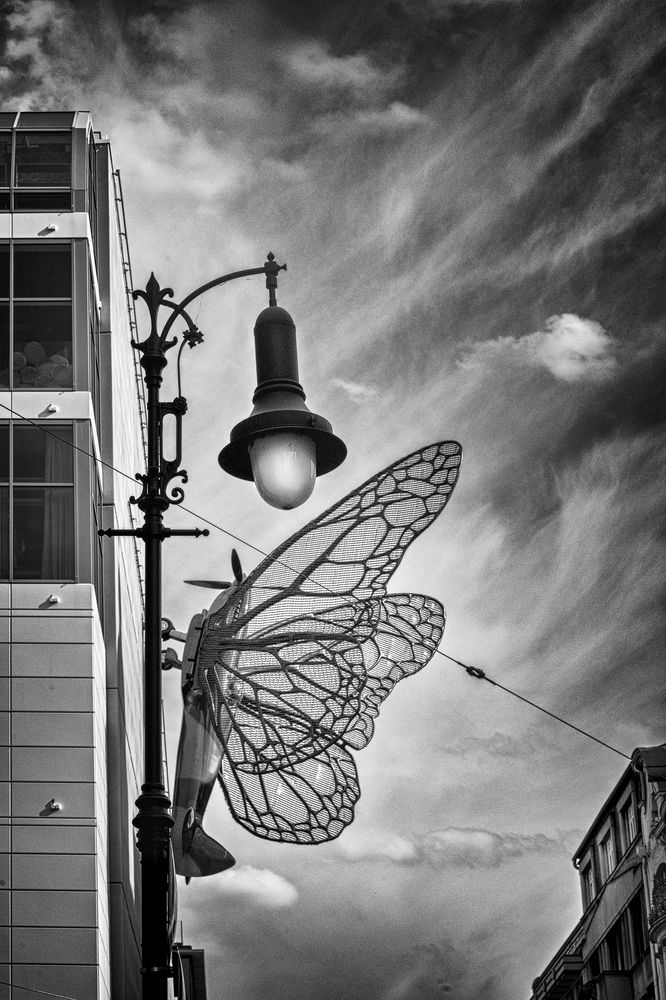 Photograph by Bedřich Sebera