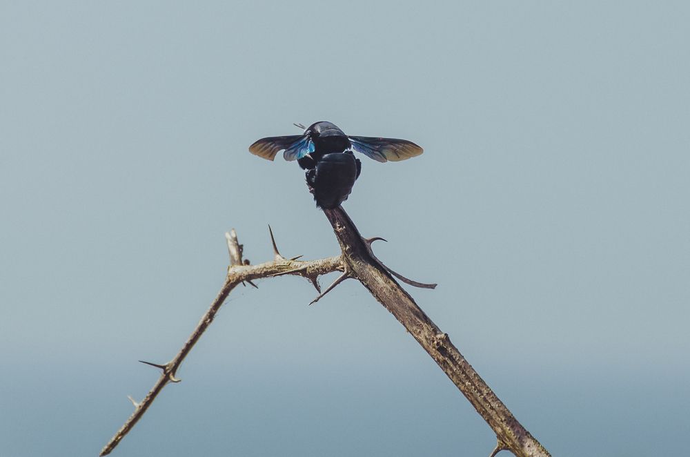 Photograph by Юлия Подлеснова