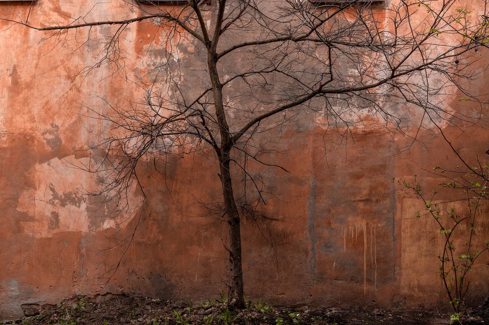 Невская акварель