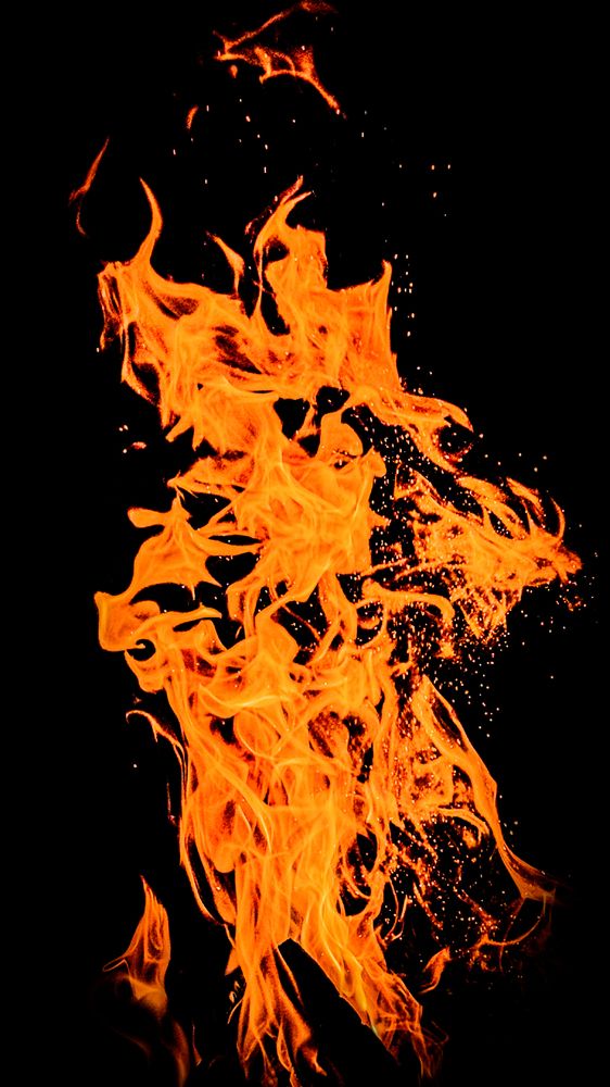 Photograph by Ekaterina Slepneva