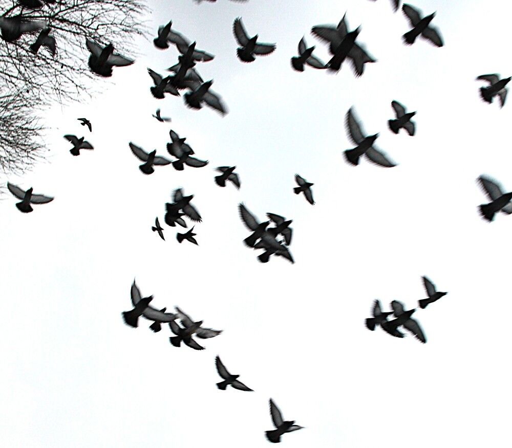 Photograph by Владимир Малёшин