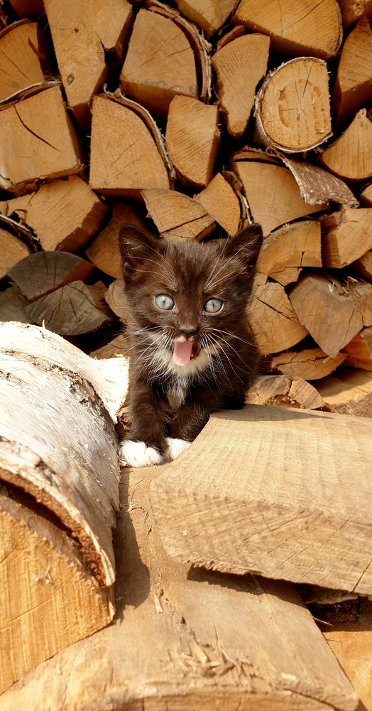 Фотография автора Татьяна Зарипова