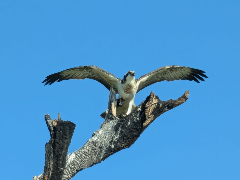 Photograph by Елена