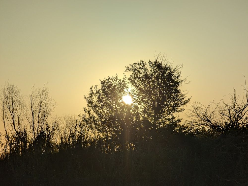 Photograph by Елена