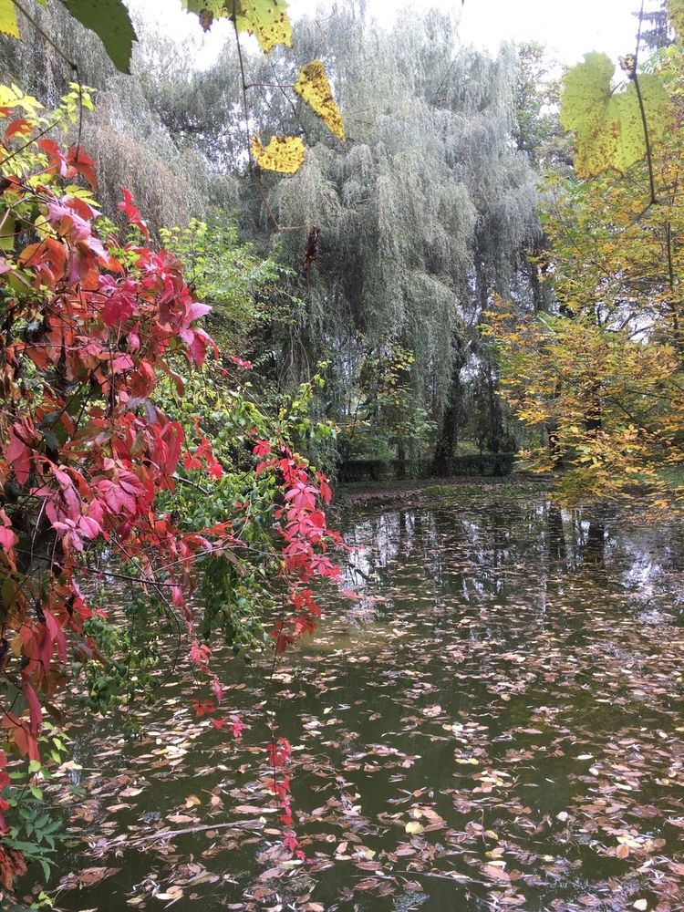 Photograph by Елена Семенова