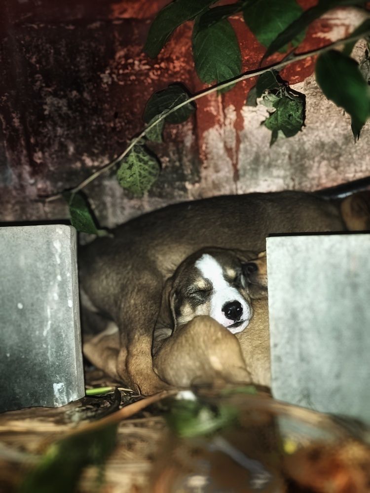 Photograph by Himanshu Sharma
