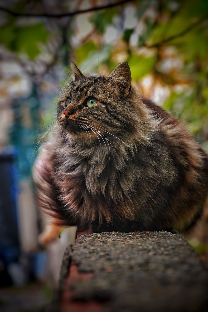 Photograph by Isa Demirhan