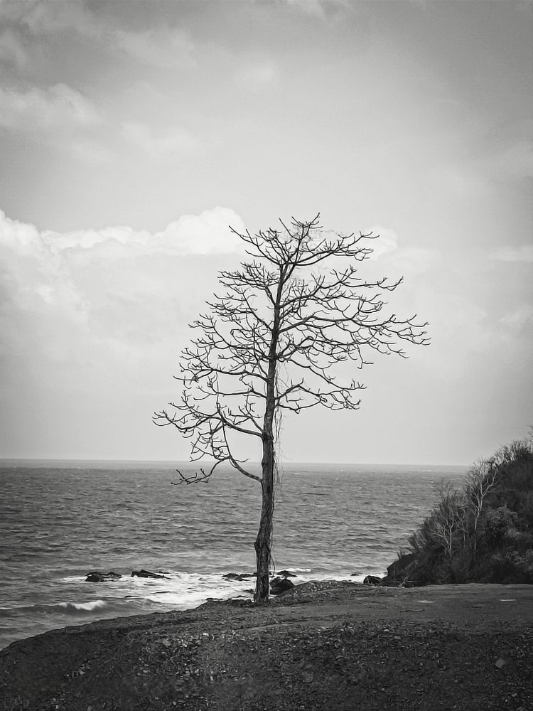 Photograph by WAI LIN