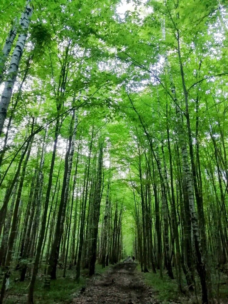 Фотография автора Юлия Денисенко