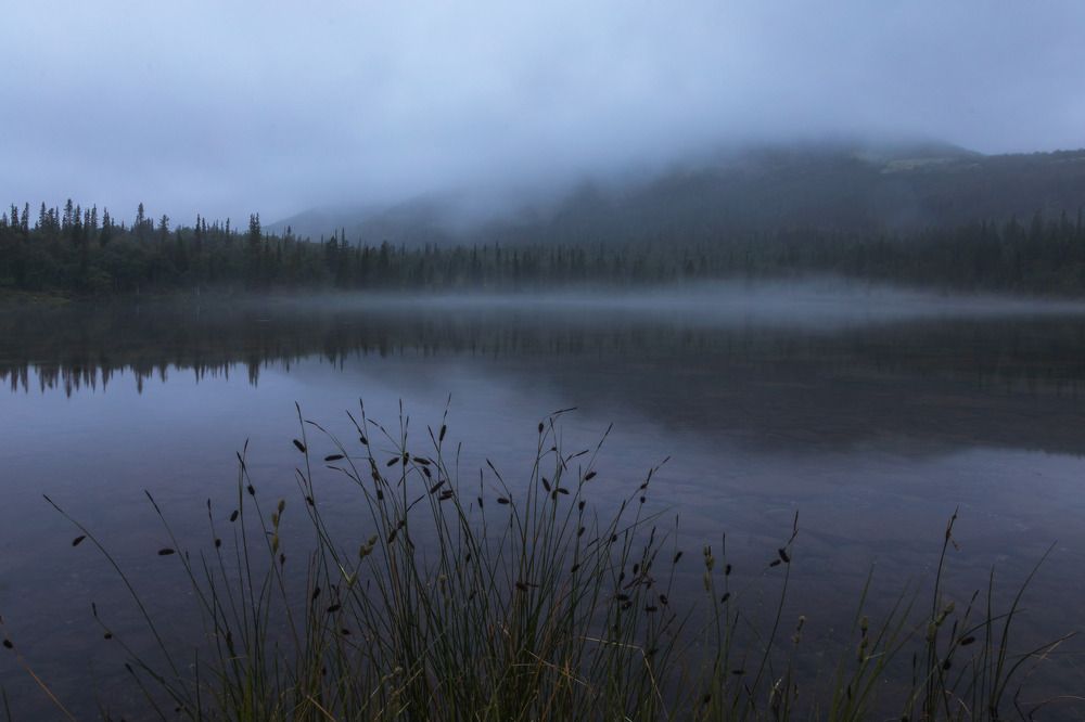 Photograph by Алексей Ретюнских