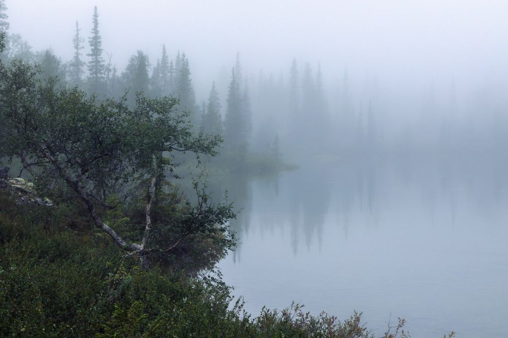 Photograph by Алексей Ретюнских