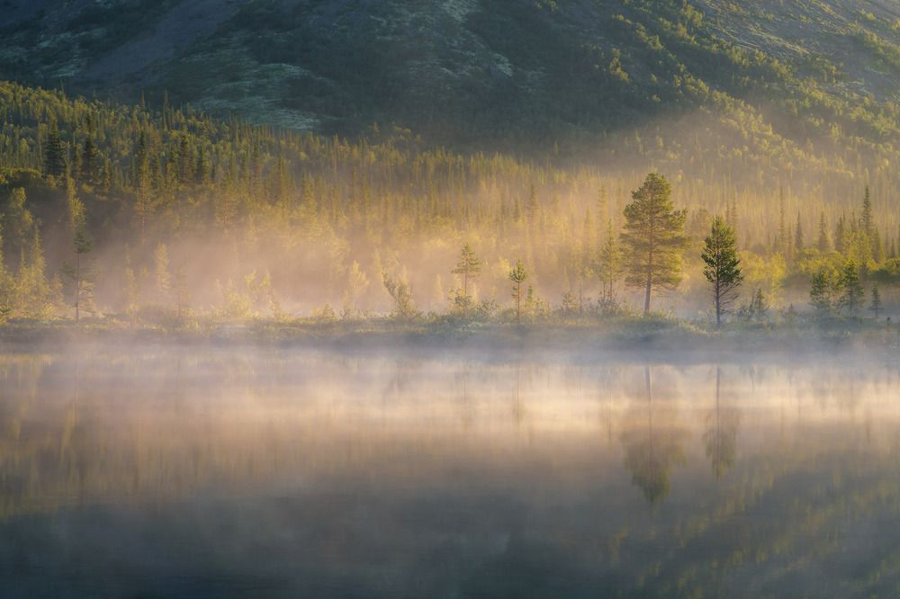 Photograph by Алексей Ретюнских