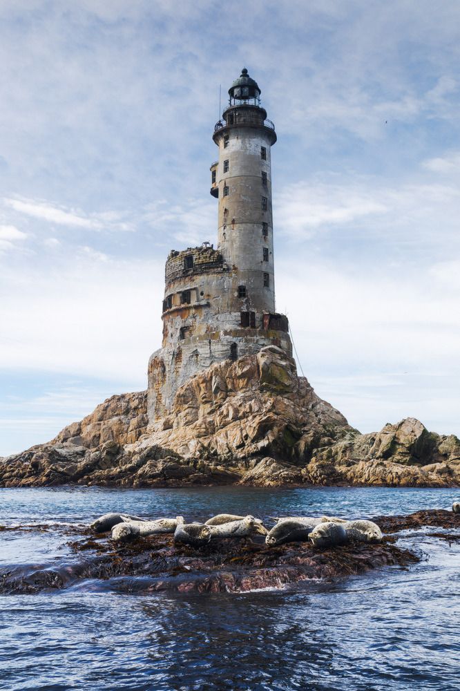 Photograph by Алексей Ретюнских