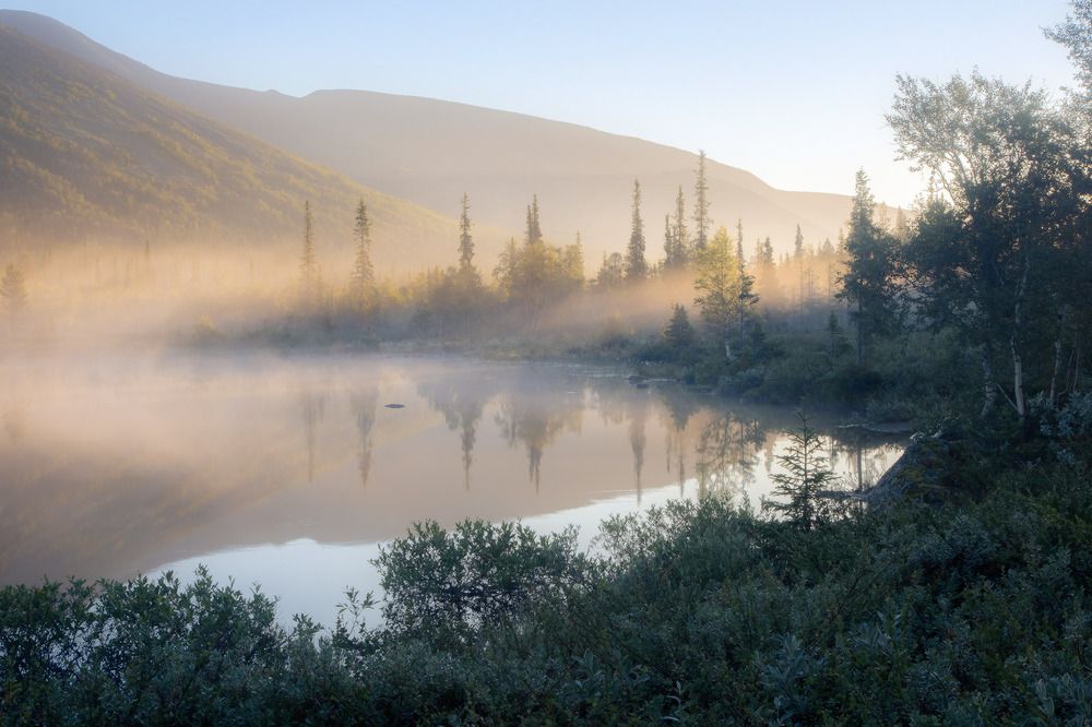 Photograph by Алексей Ретюнских
