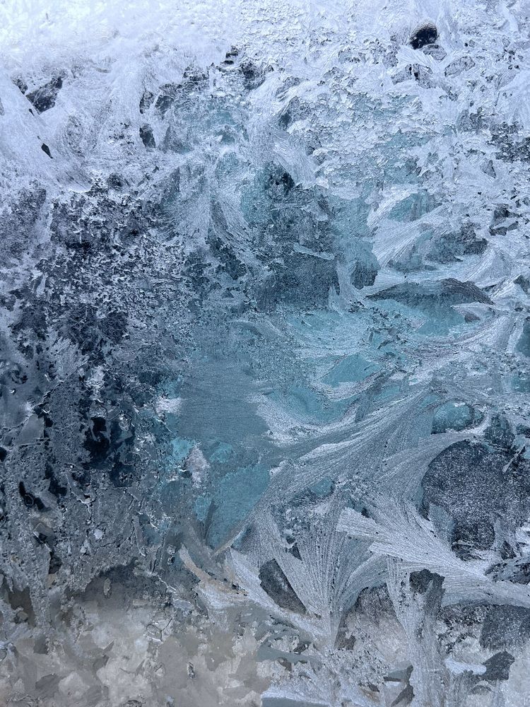 Фотография автора Мария Жукова