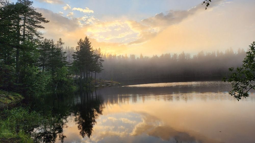 Photograph by Олег Филиппов