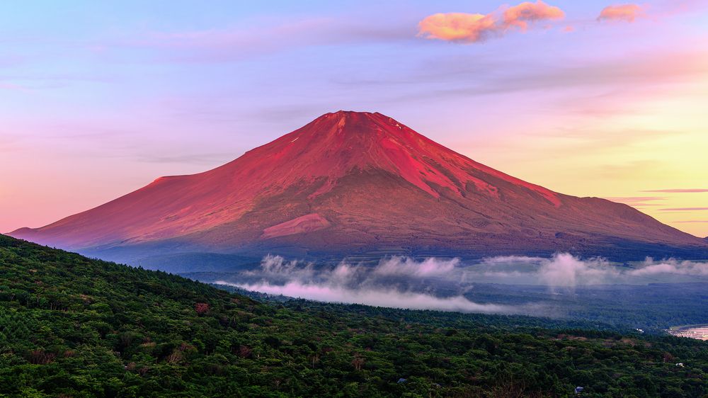 Фотография автора Uesan Aliace