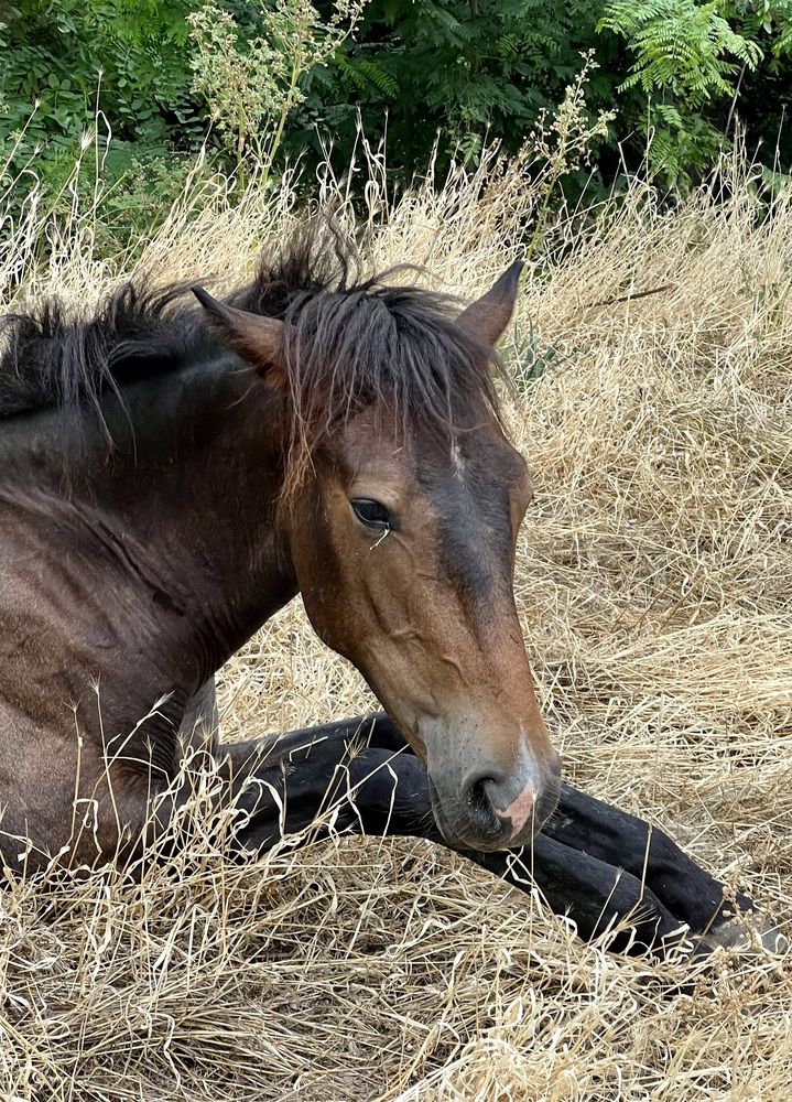 Photograph by Фарида Абакарова