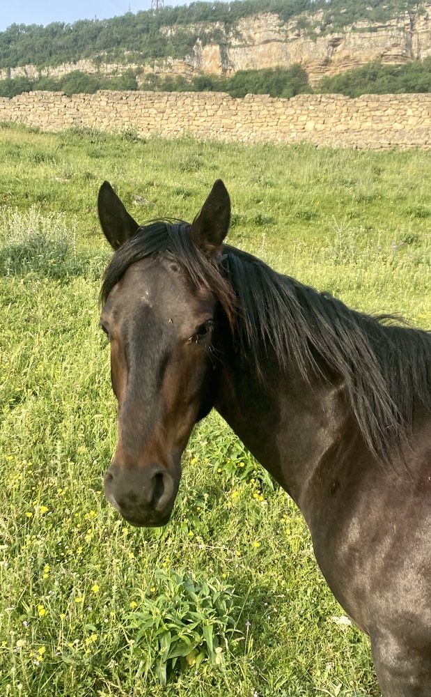 Photograph by Фарида Абакарова