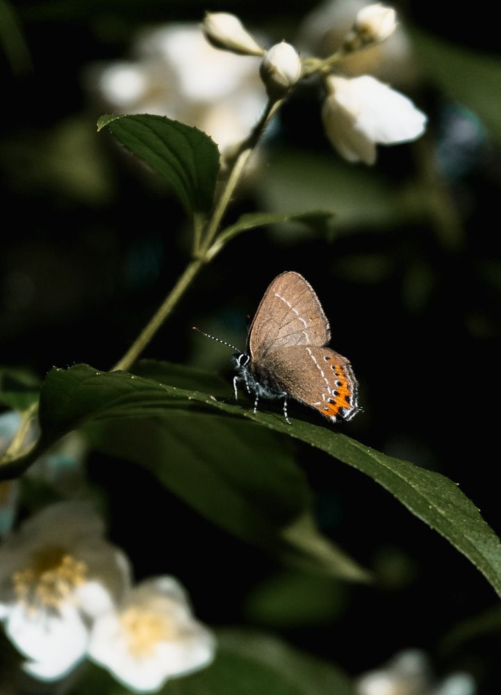 Photograph by Ирина Чиркина