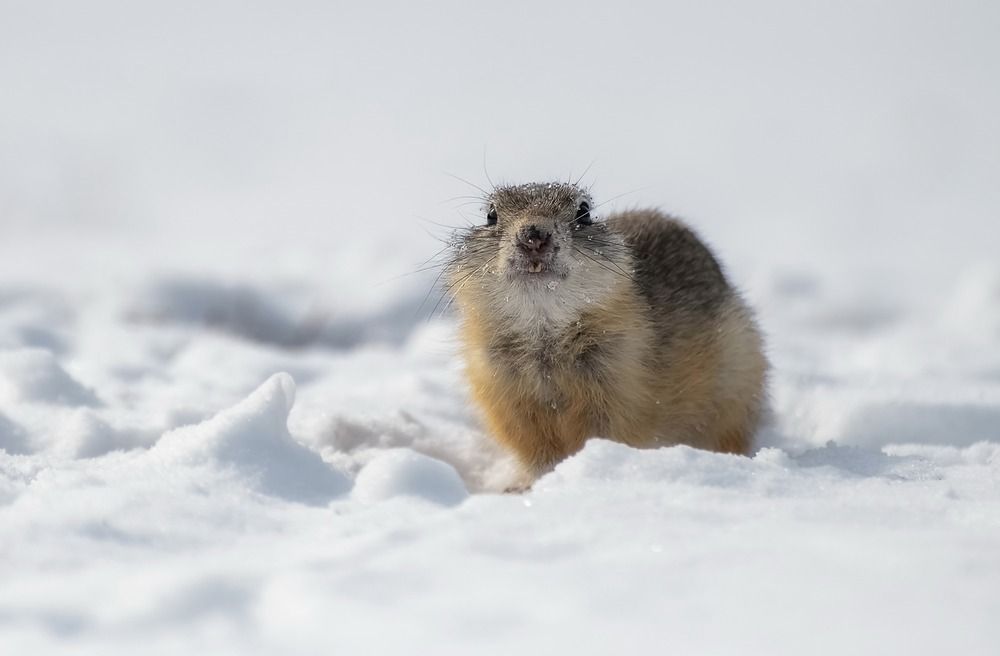 Photograph by Фомина Марина