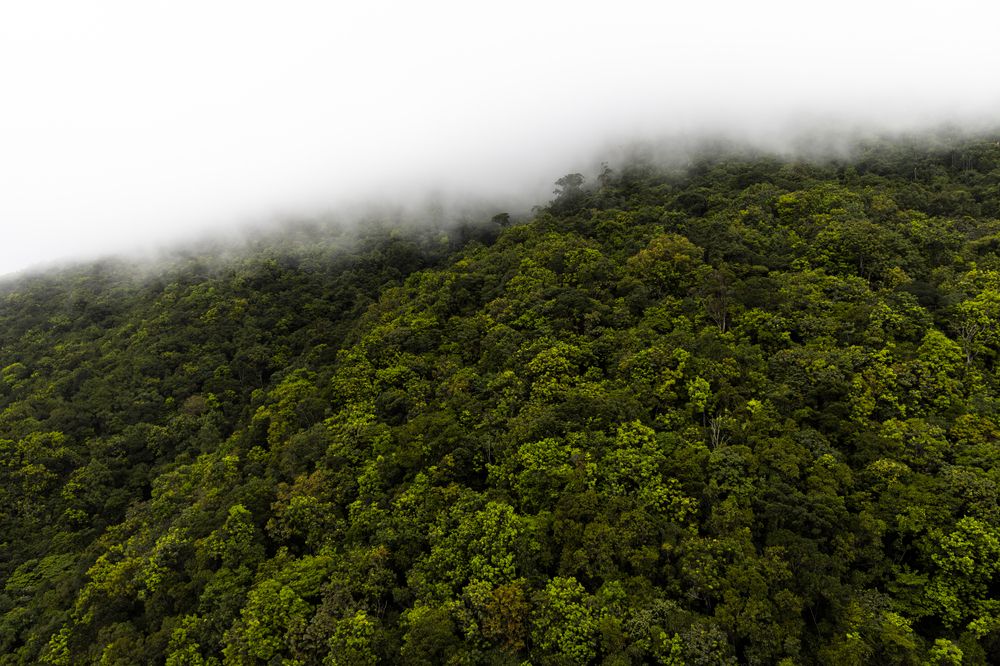 Photograph by Иван Соловьёв